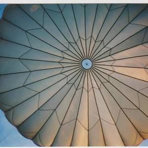 Meet your Posher, Timothy